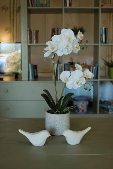 Apartment With Garden In Thessaloniki. מראה חיצוני תמונה